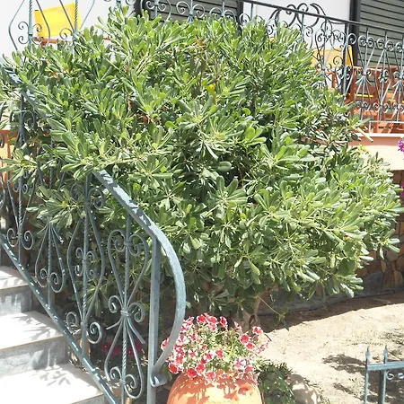 Olympos Neos Marmaras