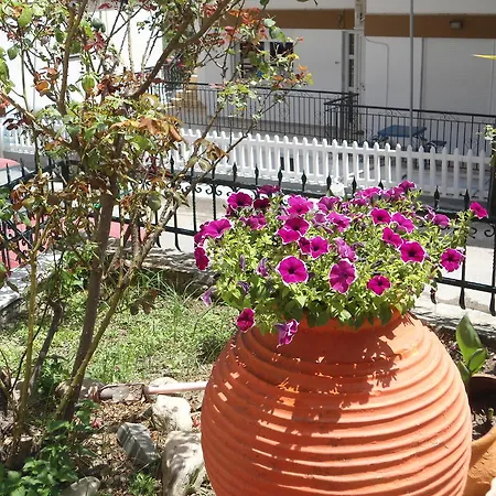 Hotel Olympos Neos Marmaras