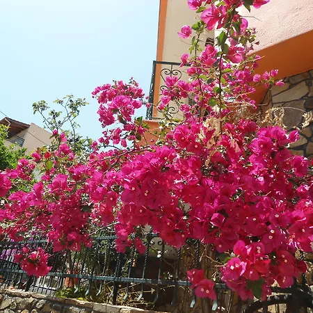 Hotel Olympos