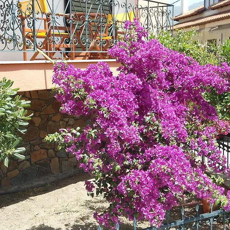 Olympos