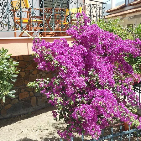 Olympos