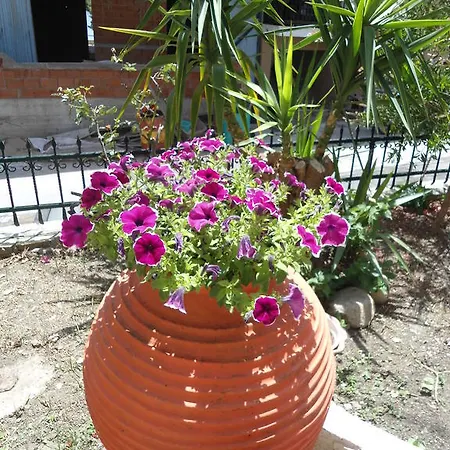 Hotel Olympos